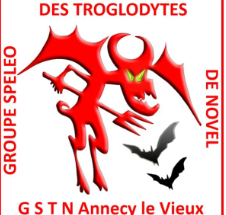 logo GSTN